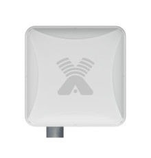 Антэкс PETRA BB NL