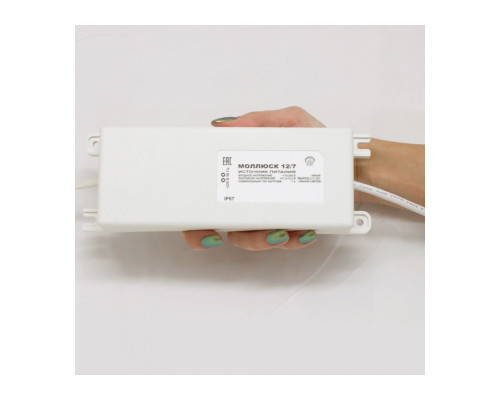 ИСТОЧНИК ВТОРИЧНОГО ПИТАНИЯ МОЛЛЮСК-12/7