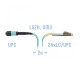 SNR-PC-MPO-24LC/UPC-DPX-MM-2m