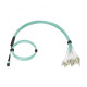 SNR-PC-MPO-24LC/UPC-DPX-MM-2m